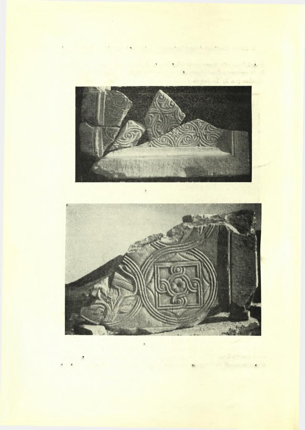 64 Πρακτικάγτής Αρχαιολογικής 'Εταιρείας 1951 βδωτοι, μαρμάρινοι κορμοί, ώς και τά ιωνικά των κιονόκρανα