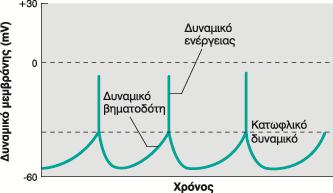 Αυθόρμητη ηλεκτρική δραστηριότητα των ΛΜΙ Ø