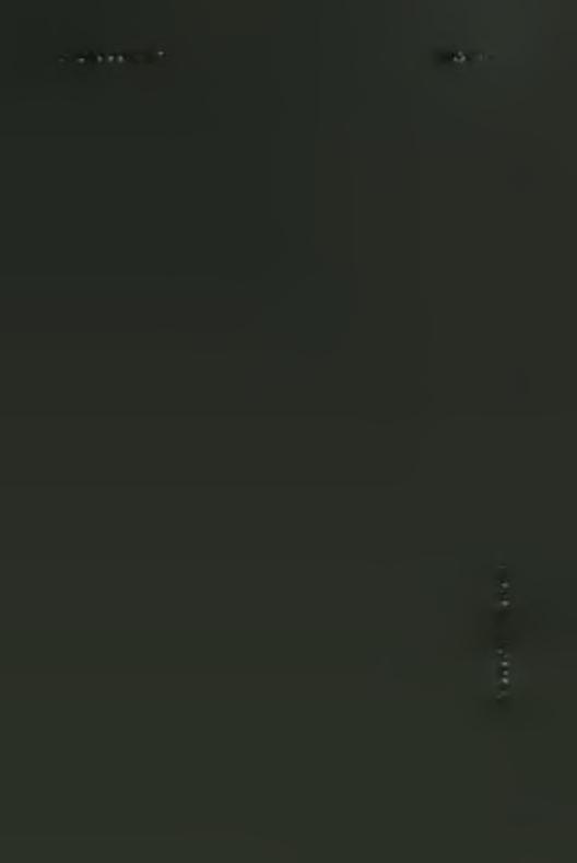 459 Κ Α Ρ Α Μ Α