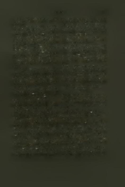 Διά τής ύψουμένης αριστερός χειρός κρατεί από τοΰ λαιμοΰ τόν άετόν, αΐ άνοικταί πτέρυγες τοΰ όποιου καλύπτουν τό μεγαλύτερον μέρος τοΰ λευκοΰ βάθους.