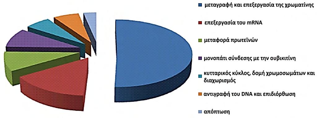 19 (DNA binding/dimerization domain, DBD).