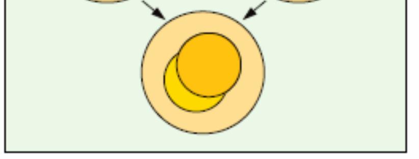 Εικόνα 8.7 : Παρουσίαση της κόλλησης δυο ινών, των οποίων οι πυρήνες δεν είναι οµόκεντροι 8.