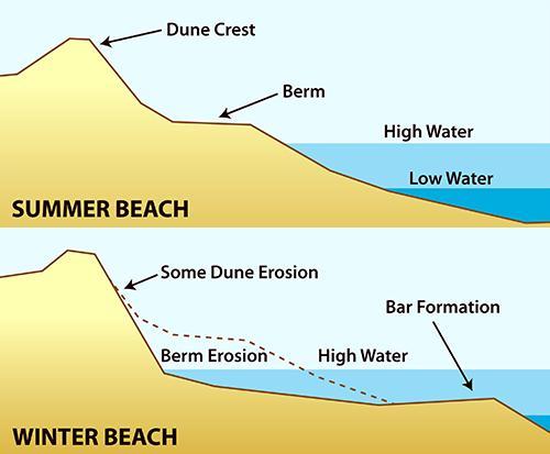 1.10 Εποχικός μηχανισμός λειτουργίας παραλιών Αποτέλεσμα της δράσης κυματισμών και κυματογενών ρευμάτων εγκάρσια στην ακτή, είναι η διαμόρφωση δύο διακεκριμένων προφίλ, του χειμερινού και του θερινού.