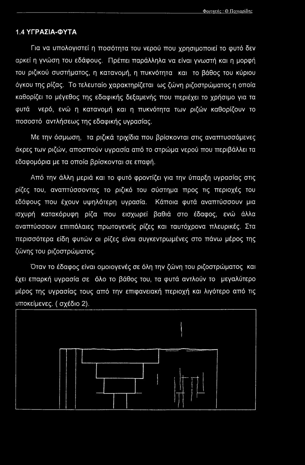 Το τελευταίο χαρακτηρίζεται ως ζώνη ριζοστρώματος η οποία καθορίζει το μέγεθος της εδαφικής δεξαμενής που περιέχει το χρήσιμο για τα φυτά νερό, ενώ η κατανομή και η πυκνότητα των ριζών καθορίζουν το