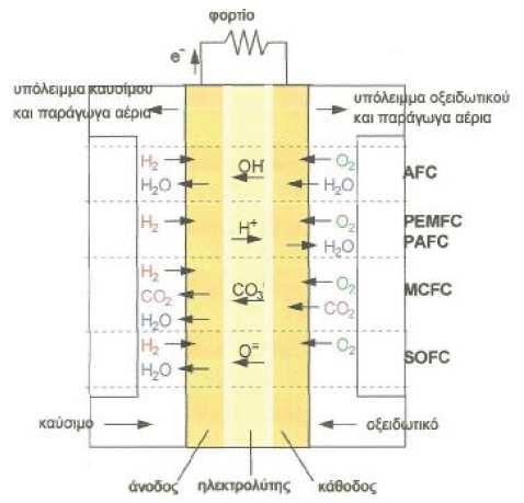 Στο Σχήμα 9.31 παρουσιάζεται το καύσιμο στην άνοδο και στη κάθοδο για τα είδη των κυψελών καυσίμου που αναλύονται στη συνέχεια καθώς και το ιόν που μεταφέρεται δια μέσου του ηλεκτρολύτη. Σχήμα 9.31: Συνοπτικό διάγραμμα κυψελών καυσίμου Αλκαλικές κυψέλες καυσίμου (Alkaline Fuel Cells, AFC) Η δομή και η λειτουργία της κυψέλης καυσίμου φαίνεται στο Σχήμα 9.