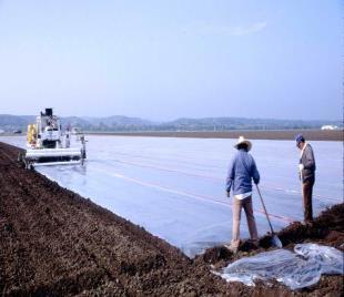 3.3 ΜΕΘΟΔΟΙ ΦΥΤΟΠΡΟΣΤΑΣΙΑΣ 1. Καλλιεργητικά μέτρα. Τα μέτρα αυτά αποσκοπούν κυρίως στην τροποποίηση του περιβάλλοντος των φυτών εις βάρος της ανάπτυξης του παθογόνου.