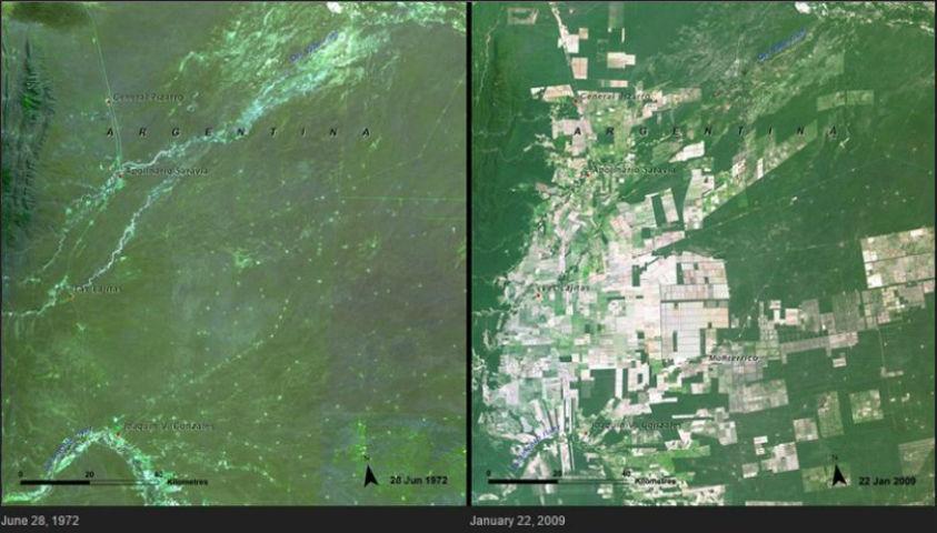 Αποψίλωση δασών στην Αργεντινή Αυτές οι εικόνες από το βορειοδυτικό προάστιο στη Σάλτα δείχνουν τη φαινομενική αγροτική ανάπτυξη και τις συνέπειές της στην περιοχή.