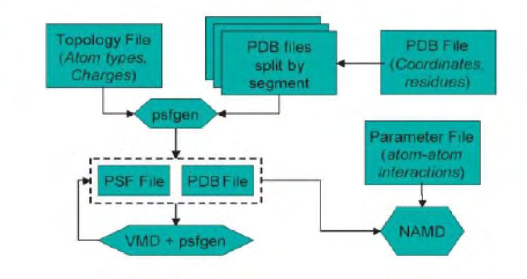Όλα αυτά συνοψίζονται στην παρακάτω εικόνα: Εικόνα 8. Διάγραμμα ροής της διαδικασίας μίας προσομοίωσης για το πρόγραμμα NAMD [http://www.ks.uiuc.