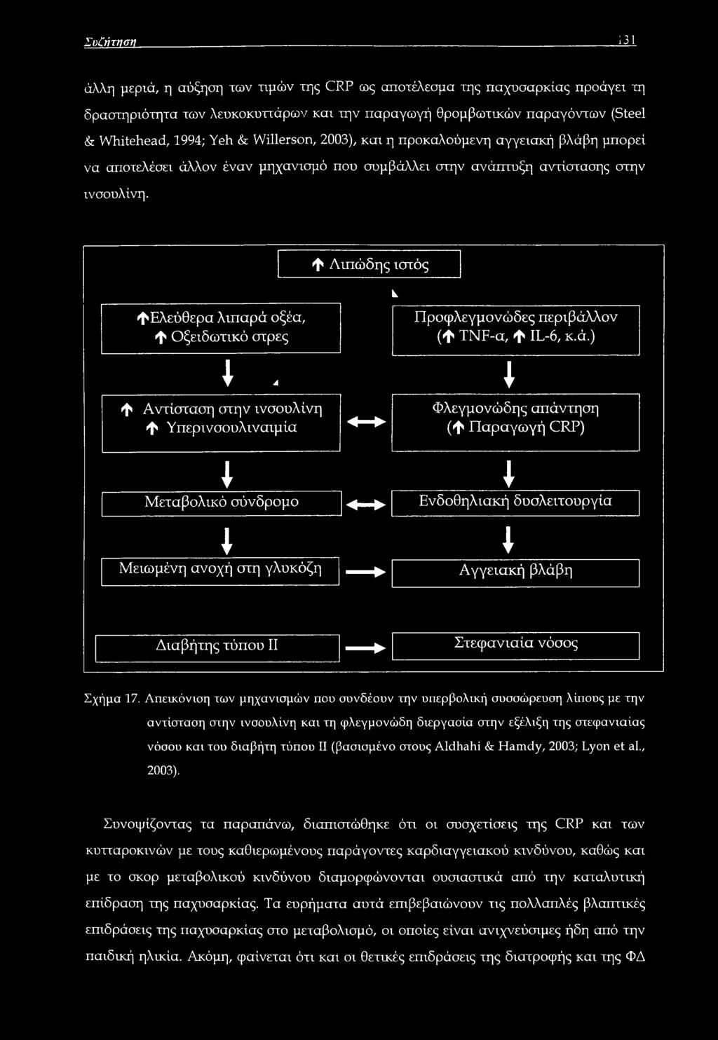 λον (Φ TNF-α, φ IL-6, κ.ά.