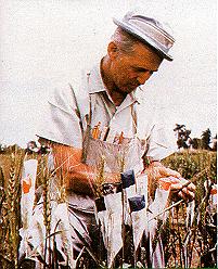 Dr. Norman Borlaug (1970 - ) Nobel