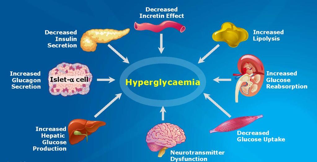 ΔΙΑΒΗΤΟΛΟΓΙΚΟ ΚΕΝΤΡΟ Η Απειλητική Οκτάδα ( Ominous Octet ) και η υπεργλυκαιμία