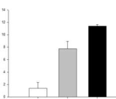 Differential Cell Count in BAL fluid (*10^4/mL) IL-6 in BAL fluid (pg/ml) Total Lung Injury Score IL-1β in BAL fluid (pg/ml) Ζ εξγώδεο αλαπλνή επάγεη πλεπκνληθή θιεγκνλή θαη