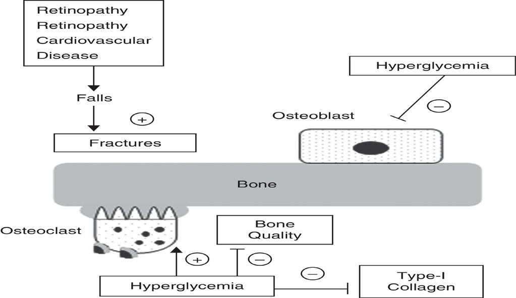 Pathogenesis of bone