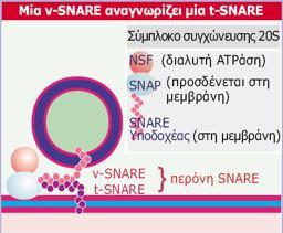 Η προσάραξη και η