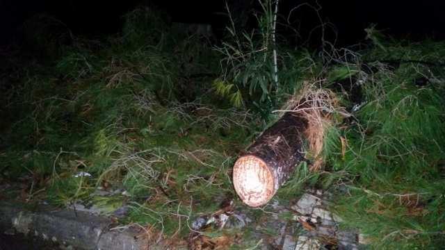 Κίνηση Πολιτών Ηλιούπολης Aρ.Μητρώου Μ.Π.Α 27156 Σκρα 10, 163 46 Ηλιούπολη 2.