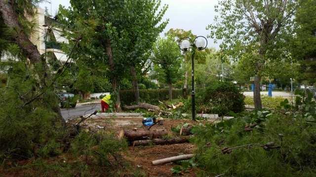 χαρά έχει το πράσινο που φαίνεται