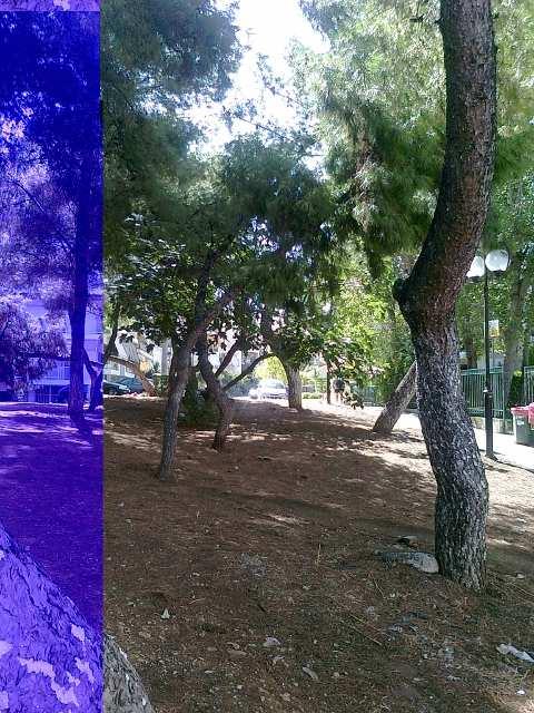 ι αποψιλωθεί πριν το συγκεκριµένο έργο (π.χ.