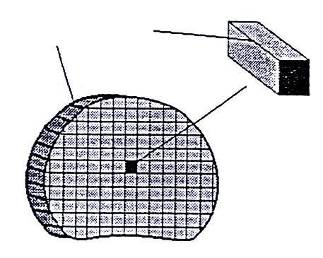 Αξονική τομογραφία (CT) πάχος τομής voxel Io Ιο μn Ι I pixel pixel I Α Ψηφιακό σήμα ανιχνευτής Η τομή χωρίζεται σε πλήθος ίσων voxels.