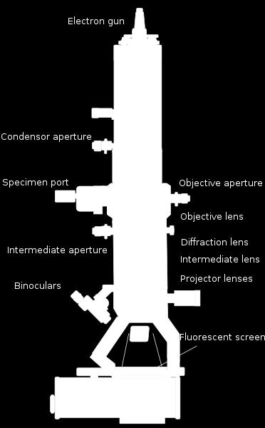 Το ΤΕΜ(transmission electron microscopy) είναι μια τεχνική μικροσκοπίου όπου μια δέσμη ηλεκτρονίων μεταδίδεται από μια πολύ λεπτή