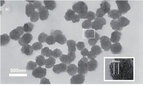 Μικρά σφαιρικά σωματίδια με μέγεθος 200-300 nm.