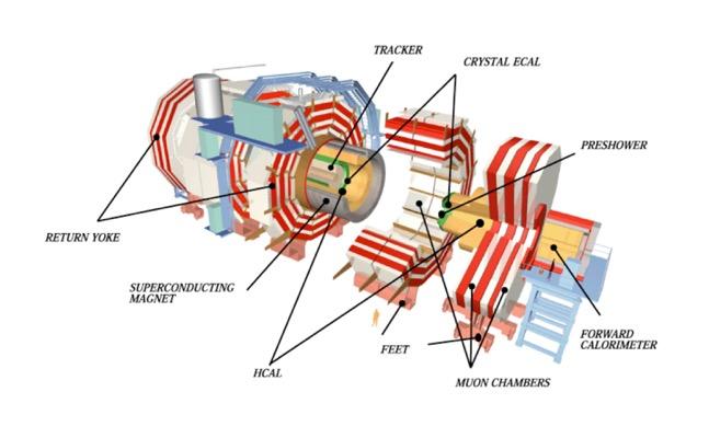 CMS Compact Muon Spectrometer CMS