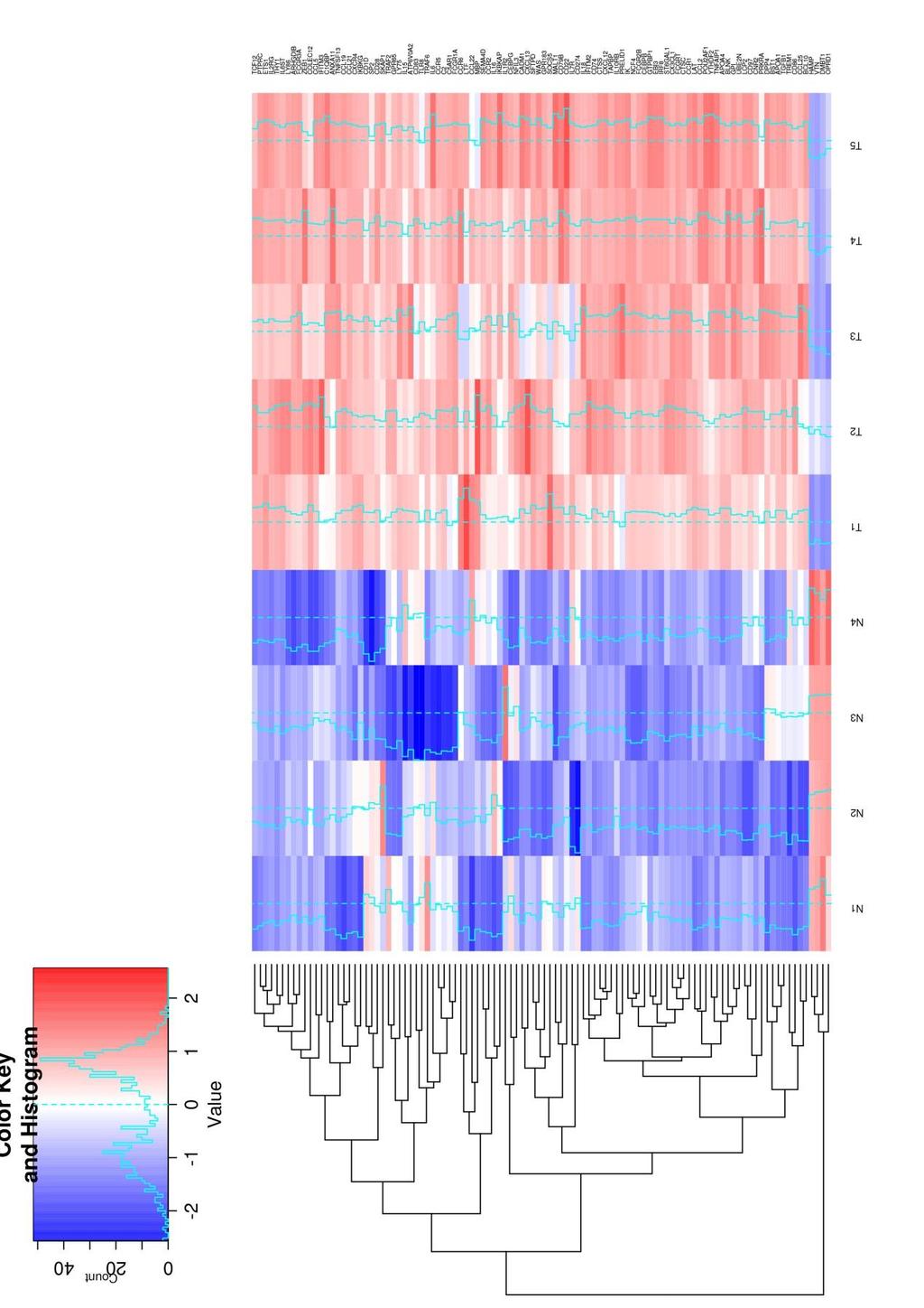 Εικόνα 6: Διαφορετική έκφραση γονιδίων που σχετίζονται με το ανοσοποιητικό σύστημα μεταξύ δειγμάτων προχωρημένων παγκρεατικών όγκων από PDX-1-CRE/KRAS*A ποντίκια (T) και δειγμάτων παγκρεάτων ποντικών