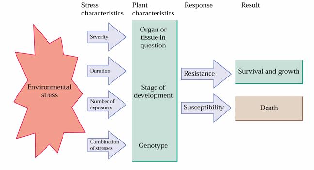 stresni dejavnik lastnost rastline odgovor rezultat rezistenca organ ali tkivo trajanje rezistenca preživetje