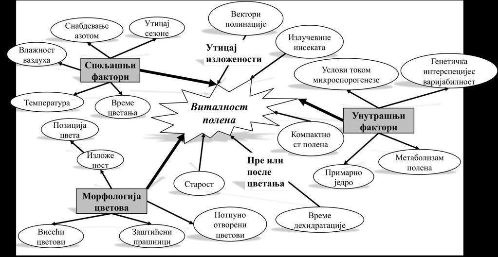 Бранислава Попов Мастеррад Преглед литературе Слика 3.