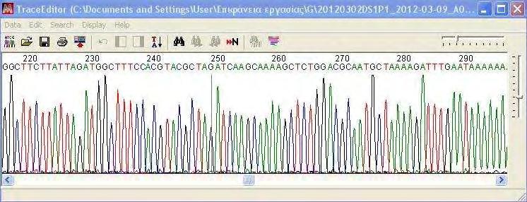 2.10. Ανάλυση Αλληλουχίας του DNA (Sequencing) Η αλληλούχιση του DNA των γονιδιακών θραυσμάτων πραγματοποιήθηκε με τη τροποποιημένη κατά Sanger μέθοδο, γνωστή και ως διδεοξυ-μέθοδο, η οποία βασίζεται