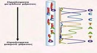 Mε την εξέλιξη αυτή, έγινε δυνατή η ανάλυση αλληλουχίας τμημάτων DNA, μεγέθους από 800bp έως το πολύ 1000bp.