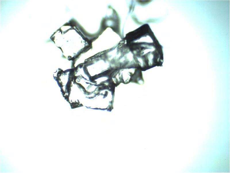 Slika 9: Kristal morske soli najmanjša povečava Koper (foto: Ula