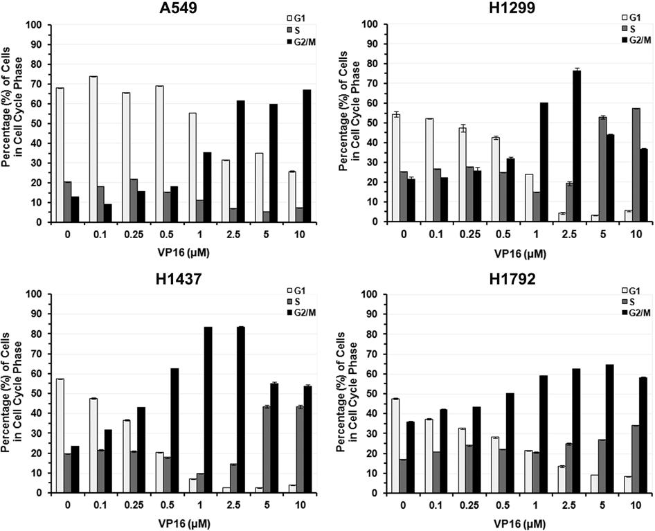 1. 2. 3. 4. 5. 6. 7. 8. 9. 10. 11. 12. 13. 14. 15. 16. Εικόνα 3.1. Επίδραση του χημειοθεραπευτικού παράγοντα ετοποσιδίου (VP16) στην πρόοδο του κυτταρικού κύκλου κυττάρων των ανθρωπίνων καρκινικών κυττάρων πνεύμονα A549, H1299, H1437 και H1792.