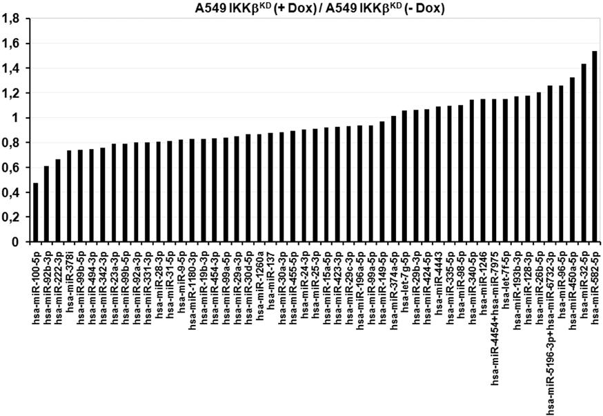 Εικόνα 3.10. Διαφορική έκφραση mirnas σε καρκινικά κύτταρα πνεύμονα A549 IKKβ KD σε σύγκριση με τα κύτταρα αγρίου-τύπου Α549 ΙΚΚβ.