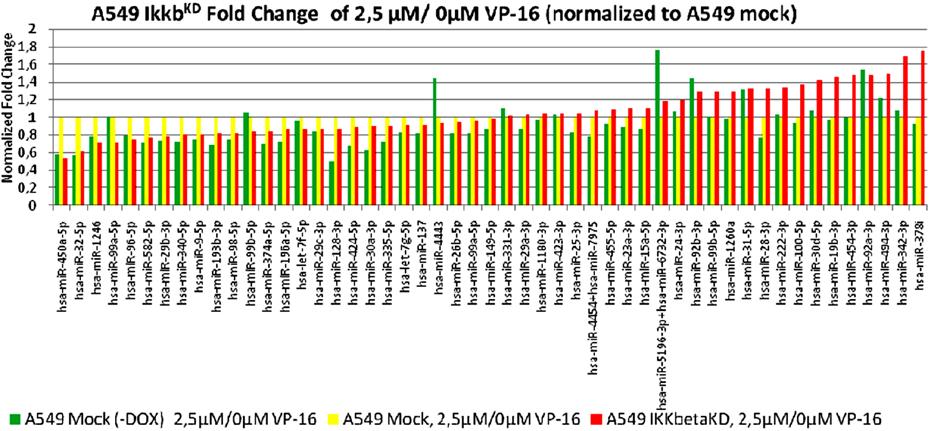 Εικόνα 3.11. Διαφορική έκφραση mirnas σε καρκινικά κύτταρα πνεύμονα A549 IKKβ KD σε σύγκριση με τα κύτταρα αγρίου-τύπου Α549 ΙΚΚβ μετά τη χορήγηση ετοποσιδίου.