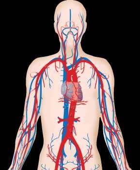 disease in diabetes