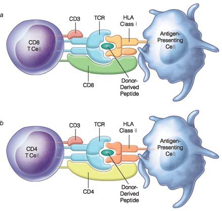 , 2002;León et al.,2000). 5.