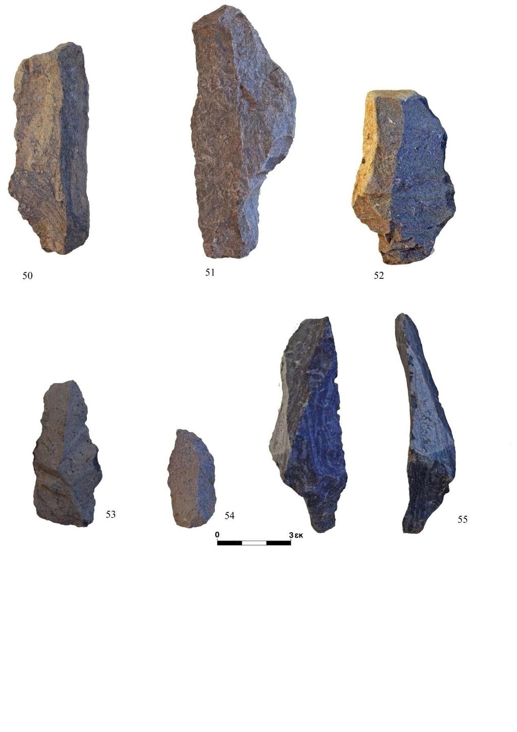 13. Πολύπετρο: λεπίδες, κάτω δεξιά πιθανόν