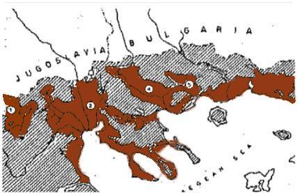 Χάρτης 4. Σχεδιαστικός χάρτης που δείχνει τις περιοχές που είναι καλυμμένες από ερυθρογή. 1. Τάφρος Κοζάνης-Πτολεμαΐδας, 2.Λεκάνες Αξιού και Θερμαϊκού, 3. Τάφροι Μυγδονίας και Χαλκιδικής, 4.