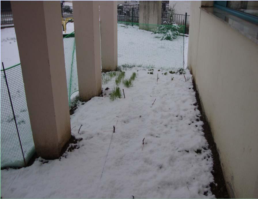 Μία ξαφνική χιονόπτωση (11-12-2012)