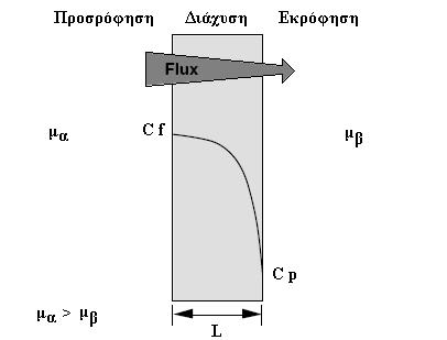 Κεφάλαιο 3 Εικόνα 3.3: Μεταφορά αερίων µέσα από πολυµερική µεµβράνη Γενικότερα, µπορεί να αναφερθεί ότι τα στάδια της ρόφησης και της εκρόφησης πραγµατοποιούνται γρήγορα.