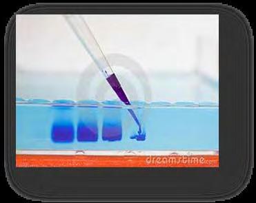 1% w/v TBE 1X Glycerol 8,7% ddh 2 O έως τα 10ml Αρχικά, παρασκευάζουμε διάλυμα ΤΑΕ 1x αραιώνοντας το πυκνό διάλυμα 50x (20ml σε τελικό όγκο 1lt).