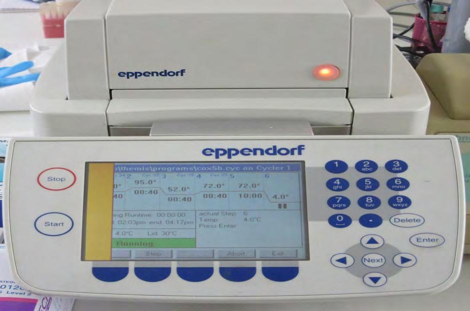 Εικόνα 9. Η συσκευή PCR που χρησιμοποιήθηκε. Για τον πολλαπλασιασμό του γονιδίου 12S rrna χρησιμοποιήσαμε τους εκκινητές 12S RNA Fw και 12S RNA Rv.