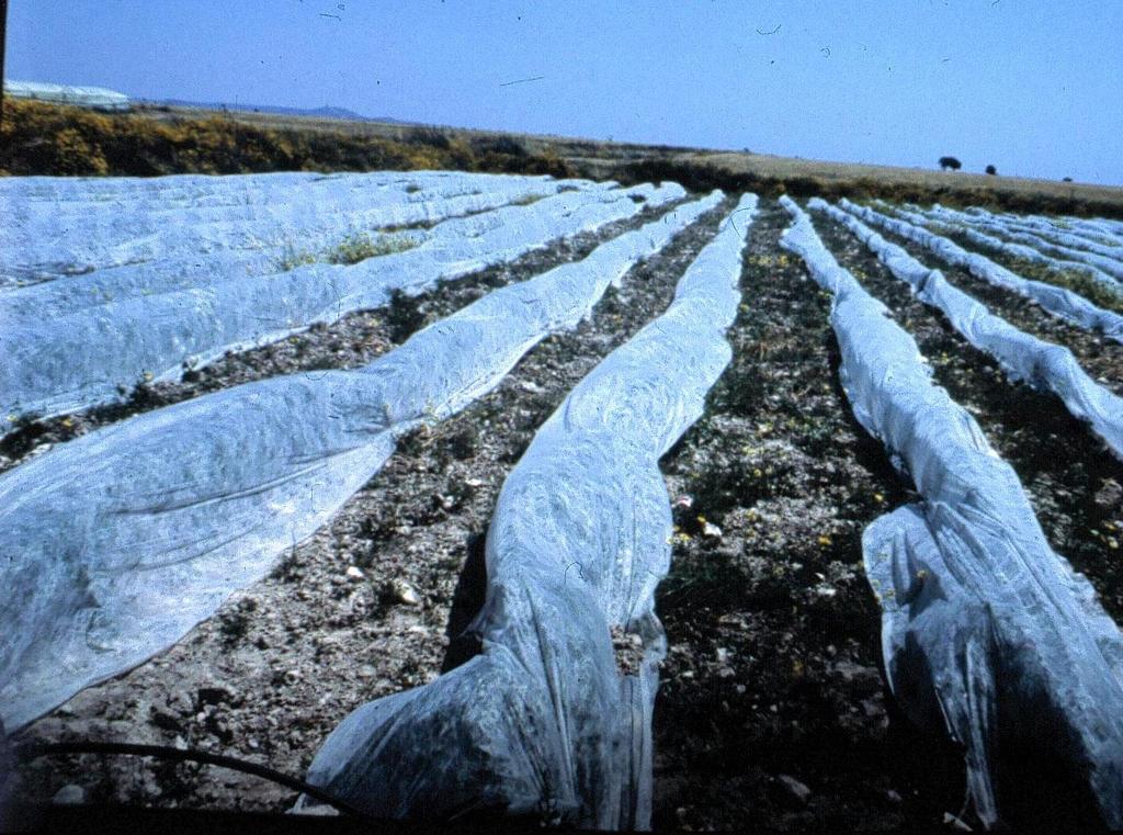 Κάλυψη με πλαστικά (1) Κάλυψη