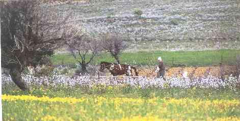 Με βάση την ΕΠΜ Προτείνεται να καθιερωθεί η προστατευόμενη περιοχή της Όχης ως «Περιοχή Οικοανάπτυξης» Με