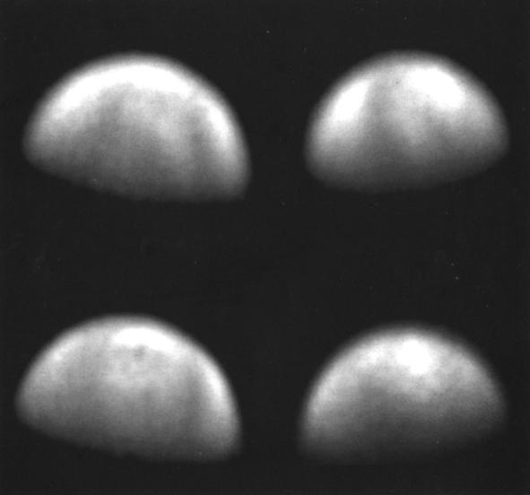 Στέλλας Ι. / Οπτική και ψηφιακή παρατήρηση της Αφροδίτης. Εικόνα 4. Εικόνες CCD της Αφροδίτης τον Δεκέμβριο του 2000 του David Moore. Επάνω αριστερά: 3/12 17.49' U.T Επάνω δεξιά: 14/12 00.43' U.