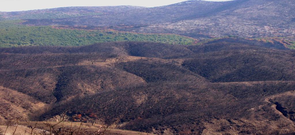 Φωτογραφία 3: Συχνές και καταστροφικές πυρκαγιές (Προσωπικό αρχείο Α. Β.