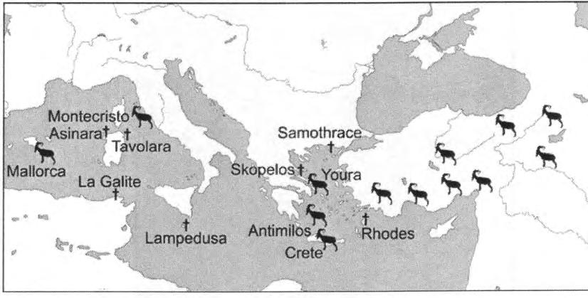 88 ΠΡΟΪΣΤΟΡΙΚΗ ΚΑΙ ΙΣΤΟΡΙΚΗ ΠΕΡΙΟΔΟΣ (Σάμψων 2007). Ως εκ τούτου το πρόβατο των Γιούρων θα μπορούσε επίσης να είχε εισαχθεί από την Ανατολή (ΝΑ. Ανατολία, περιοχή Ζάγρου). Eικ. 57.