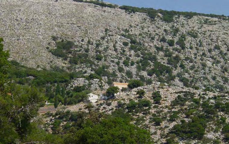 Ορεινά δάση της Κεφαλονιάς από τους Ομηρικούς χρόνους μέχρι σήμερα 267 ανεβοκατέβαιναν με τη βοήθεια σχοινένιας ανεμόσκαλας. Η πέτρινη σκάλα είναι μεταγενέστερη προσθήκη (Partsch 1892).