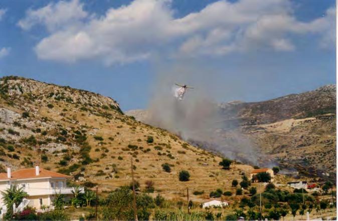 Ορεινά δάση της Κεφαλονιάς από τους Ομηρικούς χρόνους μέχρι σήμερα 289 Αθροίζοντας τα σύνολα των πινάκων 15 και 16 διαπιστώνουμε ότι οι πυρκαγιές στα δάση Αίνου και Ρουδίου κατά τη διάρκεια του 20 ου