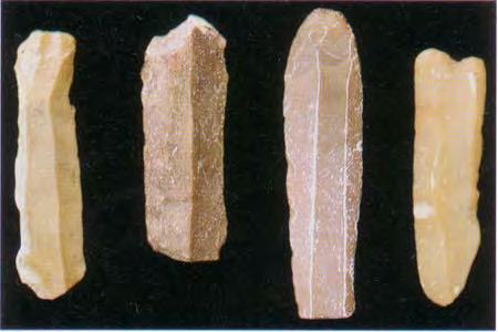 Από την ανασκαφή στο εσωτερικό του σπηλαίου της Δράκαινας. (Φωτ. http://www.gtp.